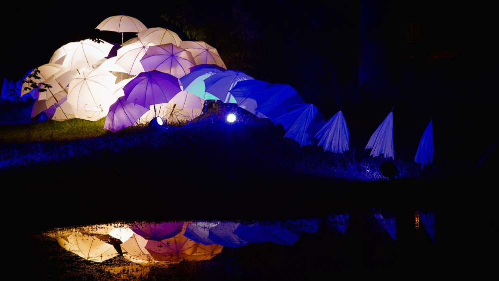 Platz 8 Willi Bitzer